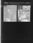 Stock sale of chickens (2 Negatives (September 4, 1958) [Sleeve 4, Folder a, Box 16]